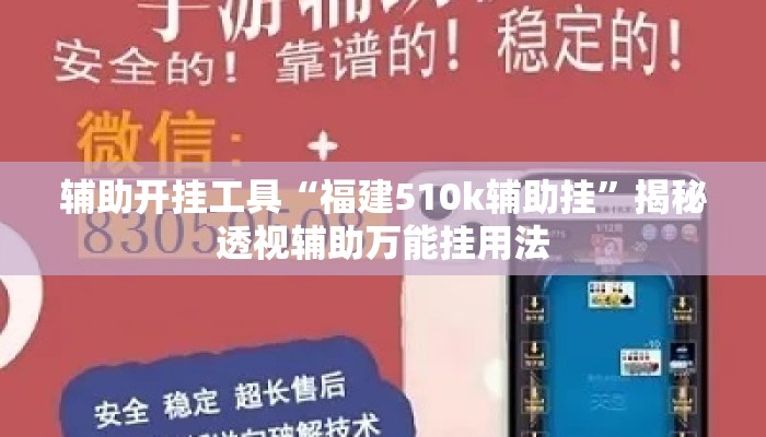 辅助开挂工具“福建510k辅助挂”揭秘透视辅助万能挂用法