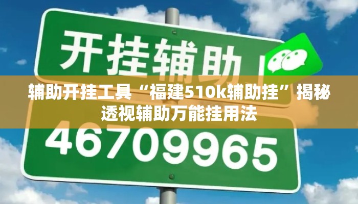 辅助开挂工具“福建510k辅助挂”揭秘透视辅助万能挂用法