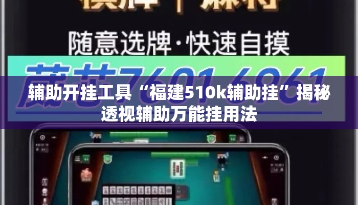 辅助开挂工具“福建510k辅助挂”揭秘透视辅助万能挂用法