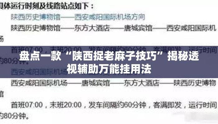 盘点一款“陕西捉老麻子技巧”揭秘透视辅助万能挂用法