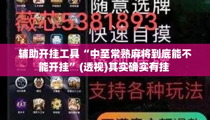 辅助开挂工具“中至常熟麻将到底能不能开挂”(透视)其实确实有挂 