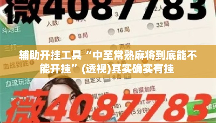 辅助开挂工具“中至常熟麻将到底能不能开挂”(透视)其实确实有挂 