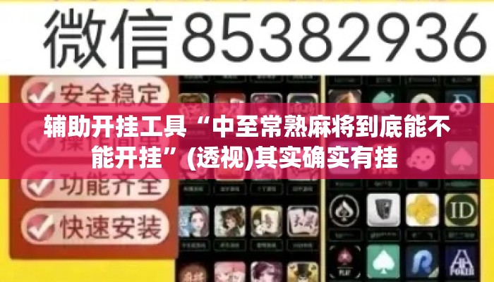 辅助开挂工具“中至常熟麻将到底能不能开挂”(透视)其实确实有挂 