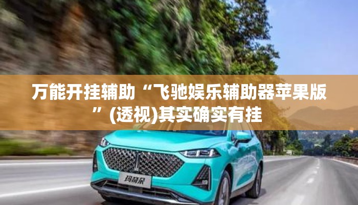 万能开挂辅助“飞驰娱乐辅助器苹果版”(透视)其实确实有挂 