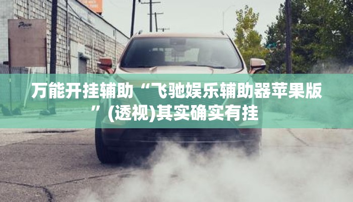 万能开挂辅助“飞驰娱乐辅助器苹果版”(透视)其实确实有挂 