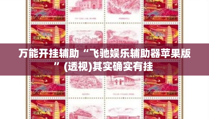万能开挂辅助“飞驰娱乐辅助器苹果版”(透视)其实确实有挂 