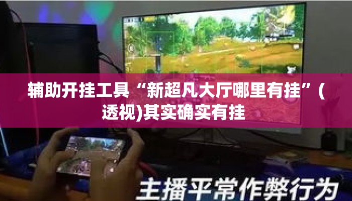 辅助开挂工具“新超凡大厅哪里有挂	”(透视)其实确实有挂 