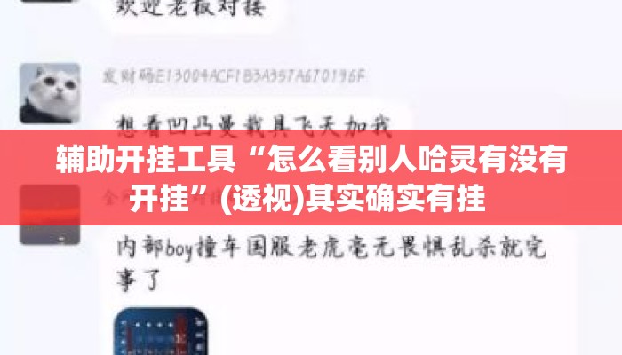 辅助开挂工具“怎么看别人哈灵有没有开挂”(透视)其实确实有挂 