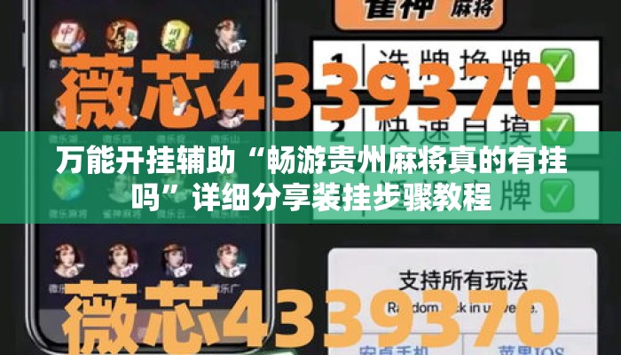 万能开挂辅助“畅游贵州麻将真的有挂吗”详细分享装挂步骤教程