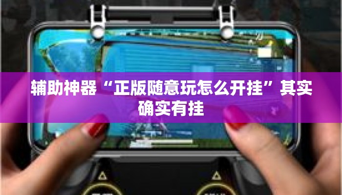 辅助神器“正版随意玩怎么开挂”其实确实有挂