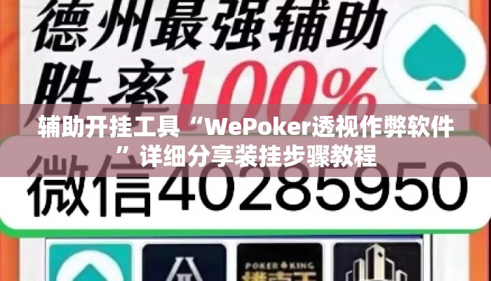 辅助开挂工具“WePoker透视作弊软件”详细分享装挂步骤教程