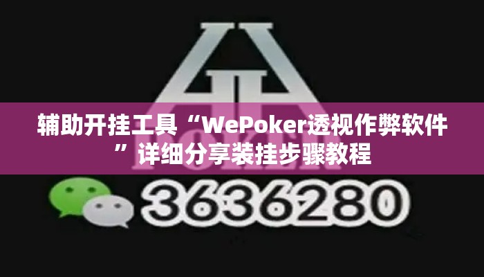 辅助开挂工具“WePoker透视作弊软件	”详细分享装挂步骤教程