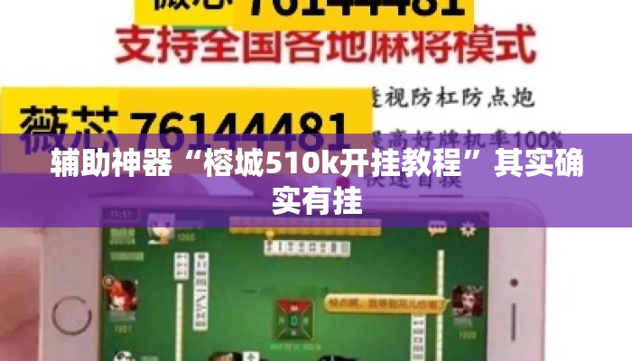 辅助神器“榕城510k开挂教程	”其实确实有挂