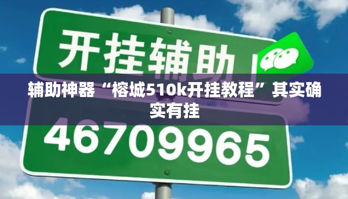 辅助神器“榕城510k开挂教程”其实确实有挂