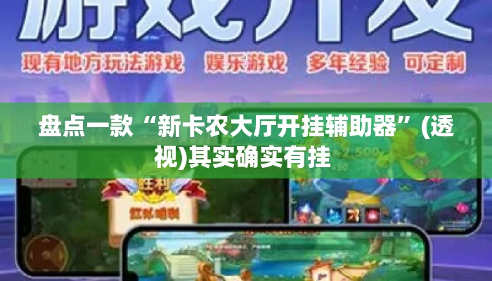 盘点一款“新卡农大厅开挂辅助器	”(透视)其实确实有挂 