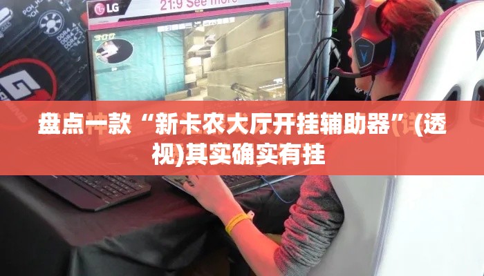 盘点一款“新卡农大厅开挂辅助器”(透视)其实确实有挂 