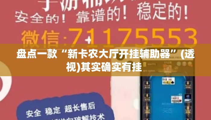盘点一款“新卡农大厅开挂辅助器”(透视)其实确实有挂 
