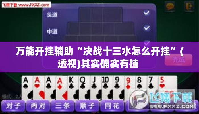 万能开挂辅助“决战十三水怎么开挂	”(透视)其实确实有挂 