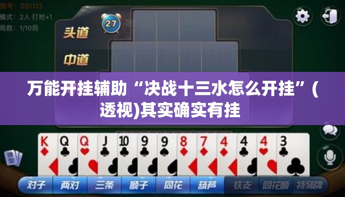 万能开挂辅助“决战十三水怎么开挂”(透视)其实确实有挂 