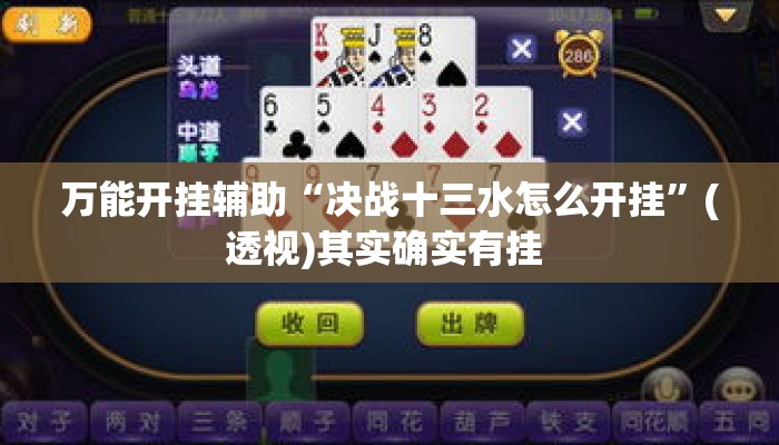万能开挂辅助“决战十三水怎么开挂”(透视)其实确实有挂 