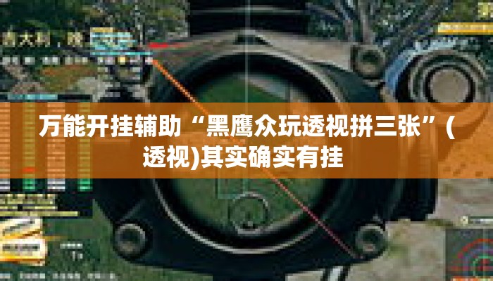 万能开挂辅助“黑鹰众玩透视拼三张”(透视)其实确实有挂 