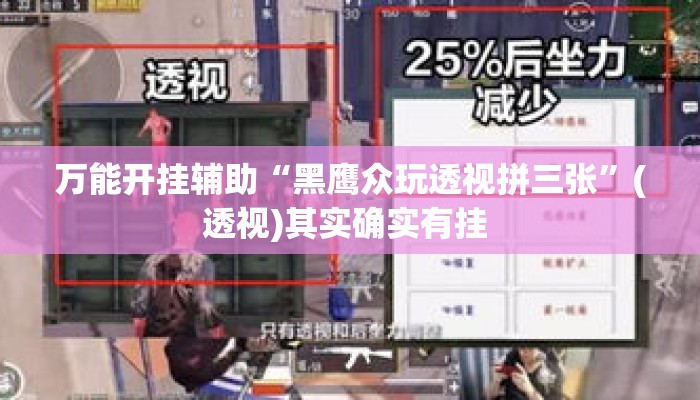 万能开挂辅助“黑鹰众玩透视拼三张”(透视)其实确实有挂 