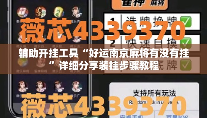 辅助开挂工具“好运南京麻将有没有挂”详细分享装挂步骤教程