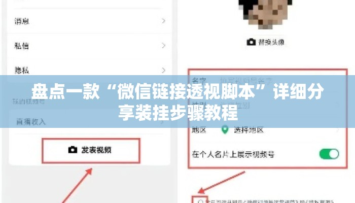 盘点一款“微信链接透视脚本”详细分享装挂步骤教程