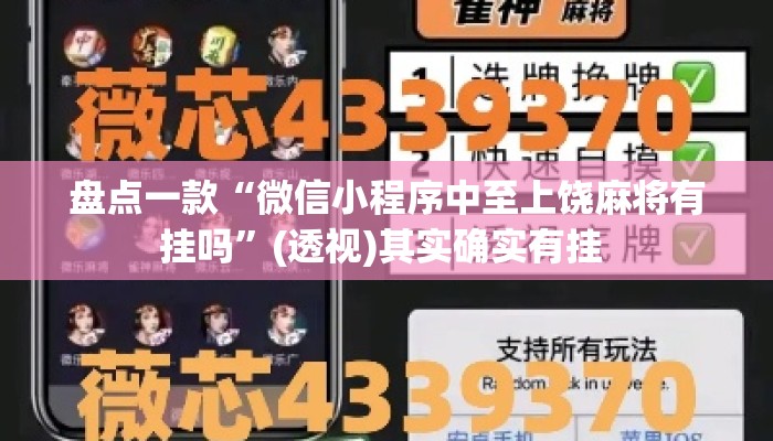盘点一款“微信小程序中至上饶麻将有挂吗	”(透视)其实确实有挂 