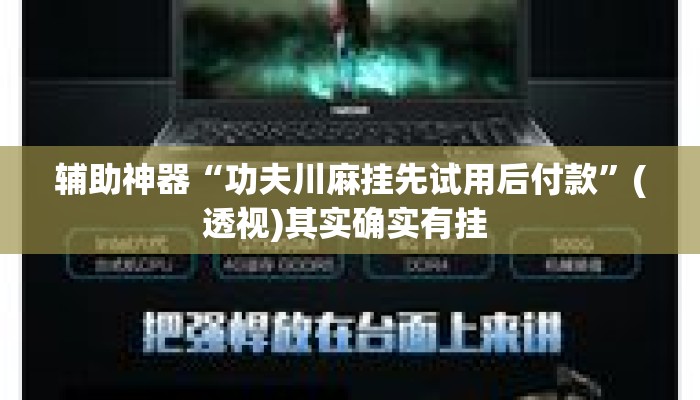 辅助神器“功夫川麻挂先试用后付款”(透视)其实确实有挂 