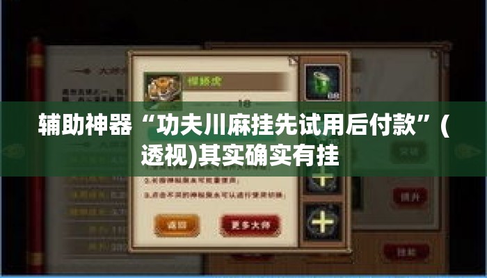 辅助神器“功夫川麻挂先试用后付款”(透视)其实确实有挂 