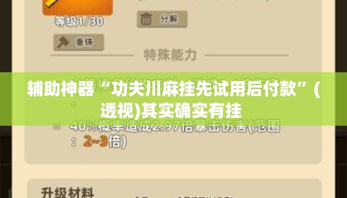 辅助神器“功夫川麻挂先试用后付款”(透视)其实确实有挂 