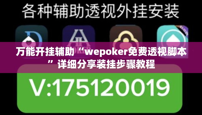 万能开挂辅助“wepoker免费透视脚本”详细分享装挂步骤教程