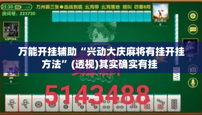万能开挂辅助“兴动大庆麻将有挂开挂方法”(透视)其实确实有挂 