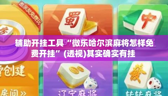 辅助开挂工具“微乐哈尔滨麻将怎样免费开挂	”(透视)其实确实有挂 
