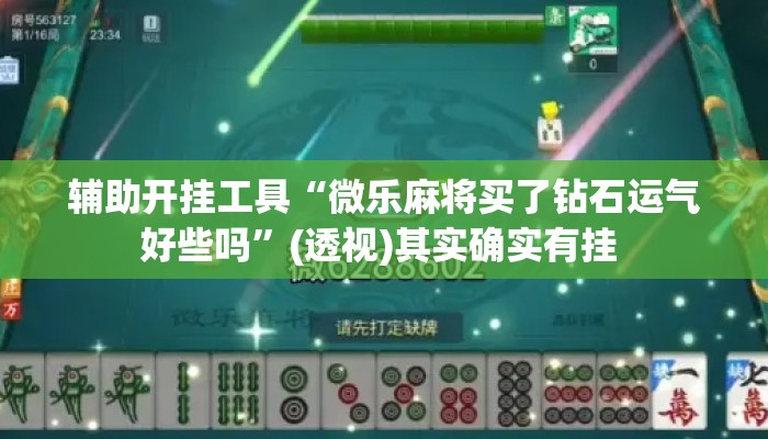 辅助开挂工具“微乐麻将买了钻石运气好些吗	”(透视)其实确实有挂 