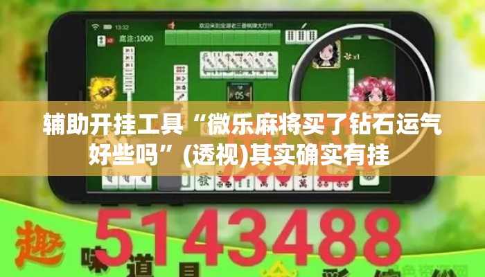 辅助开挂工具“微乐麻将买了钻石运气好些吗”(透视)其实确实有挂 