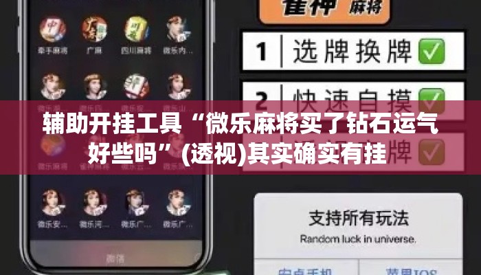 辅助开挂工具“微乐麻将买了钻石运气好些吗”(透视)其实确实有挂 