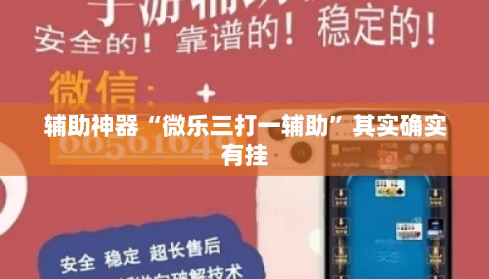辅助神器“微乐三打一辅助	”其实确实有挂