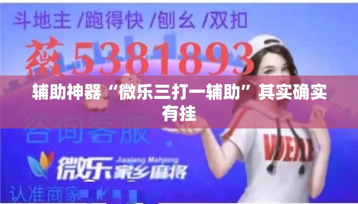 辅助神器“微乐三打一辅助”其实确实有挂
