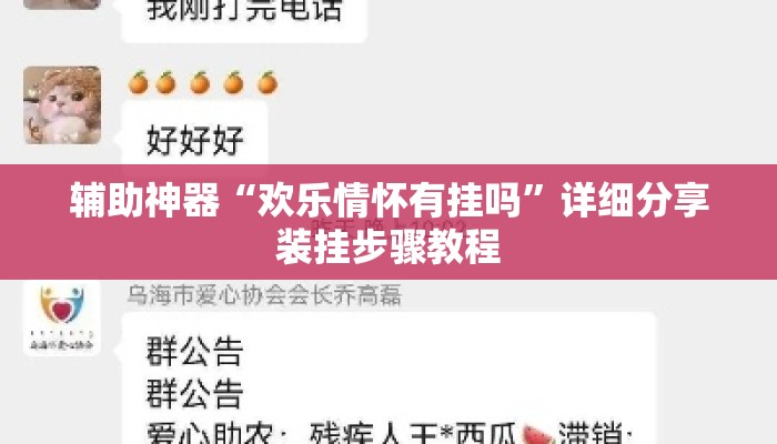 辅助神器“欢乐情怀有挂吗”详细分享装挂步骤教程