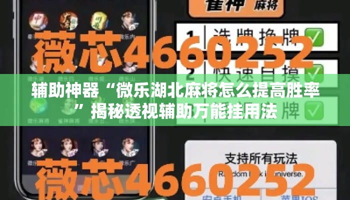 辅助神器“微乐湖北麻将怎么提高胜率”揭秘透视辅助万能挂用法