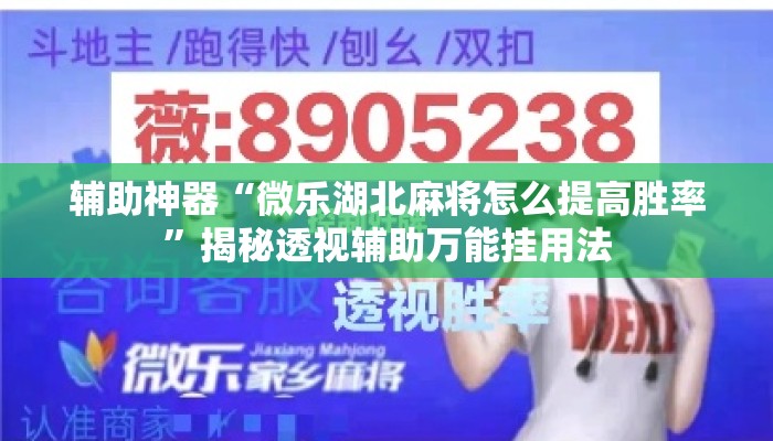 辅助神器“微乐湖北麻将怎么提高胜率”揭秘透视辅助万能挂用法
