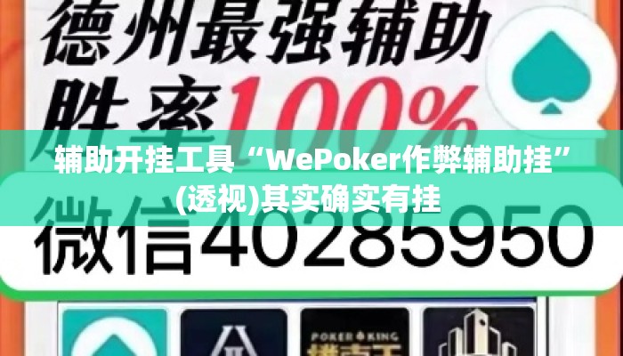 辅助开挂工具“WePoker作弊辅助挂	”(透视)其实确实有挂 