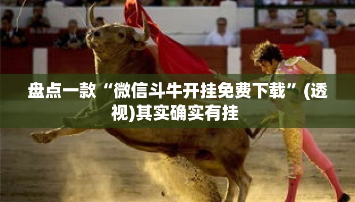 盘点一款“微信斗牛开挂免费下载”(透视)其实确实有挂 