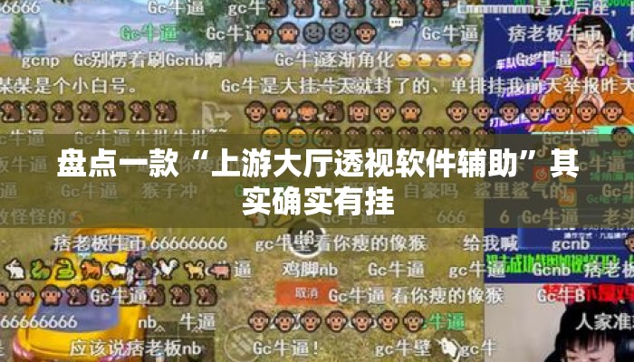 盘点一款“上游大厅透视软件辅助”其实确实有挂