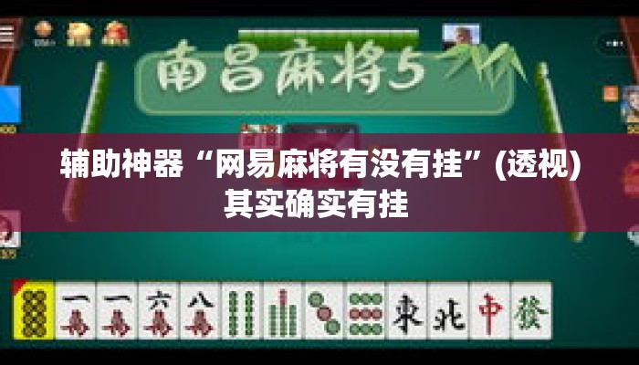 辅助神器“网易麻将有没有挂”(透视)其实确实有挂 