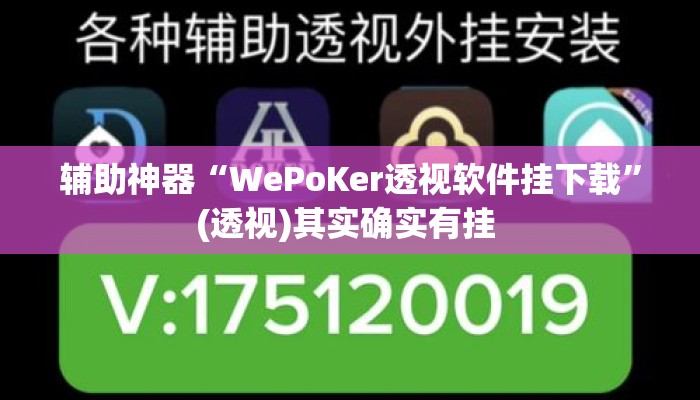 辅助神器“WePoKer透视软件挂下载	”(透视)其实确实有挂 