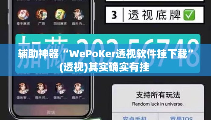 辅助神器“WePoKer透视软件挂下载”(透视)其实确实有挂 