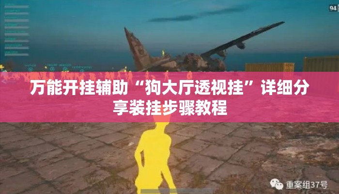万能开挂辅助“狗大厅透视挂”详细分享装挂步骤教程